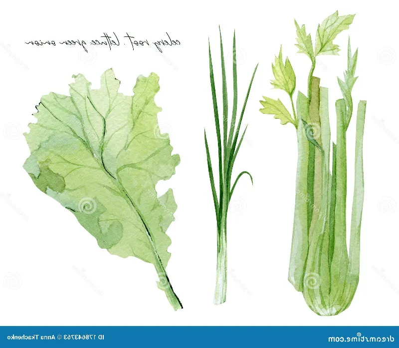 Verduras, naturaleza y más: inspiración para el diseño gráfico con verde