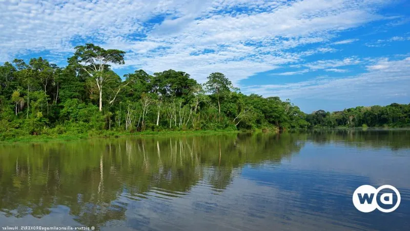 El role del color verde en la conservación de áreas protegidas