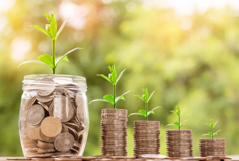 Adopción del color verde en la moda y la industria textil: Tendencias y desafíos para la sostenibilidad ambiental