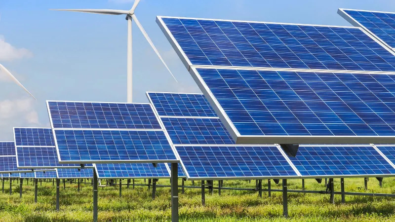 ¿Puede el color verde aumentar la productividad en la energía renovable?