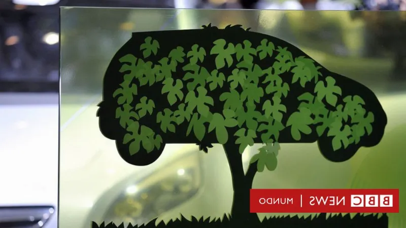 La energía limpia se hace más verde con el color verde