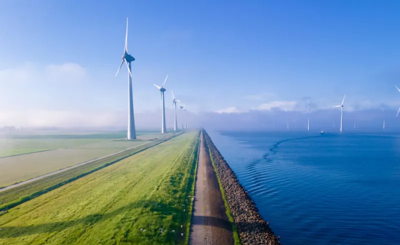 La importancia del color verde en la energía renovable