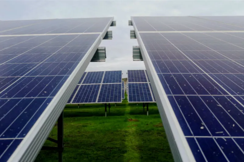 Cómo el color verde puede mejorar el rendimiento de los paneles solares