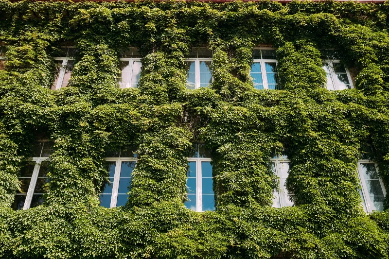 La Belleza de los Jardines Verticales en la Arquitectura Urbana