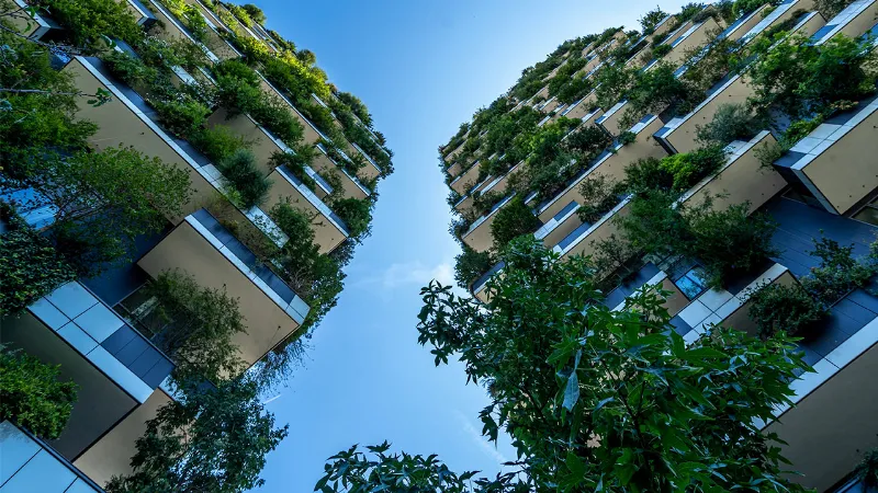 El Uso del Verde en la Arquitectura de Bienestar Comunitario