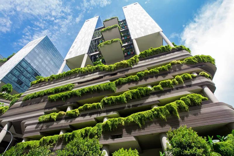 El Verde como alternativa en la Arquitectura Empresarial y Corporativa