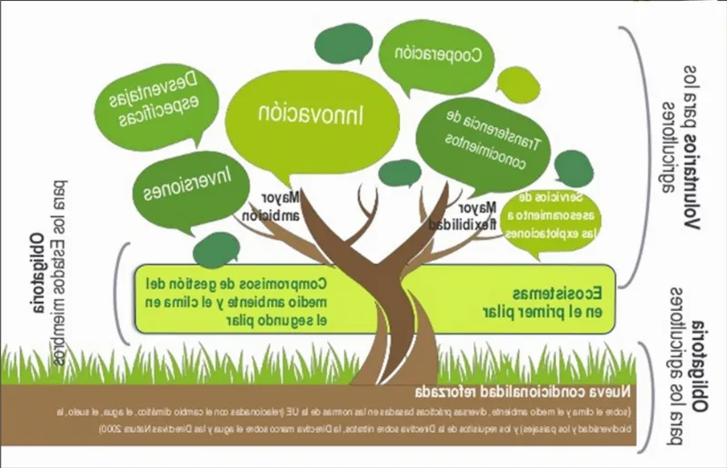 La relación entre el verde y la productividad en el lugar de trabajo